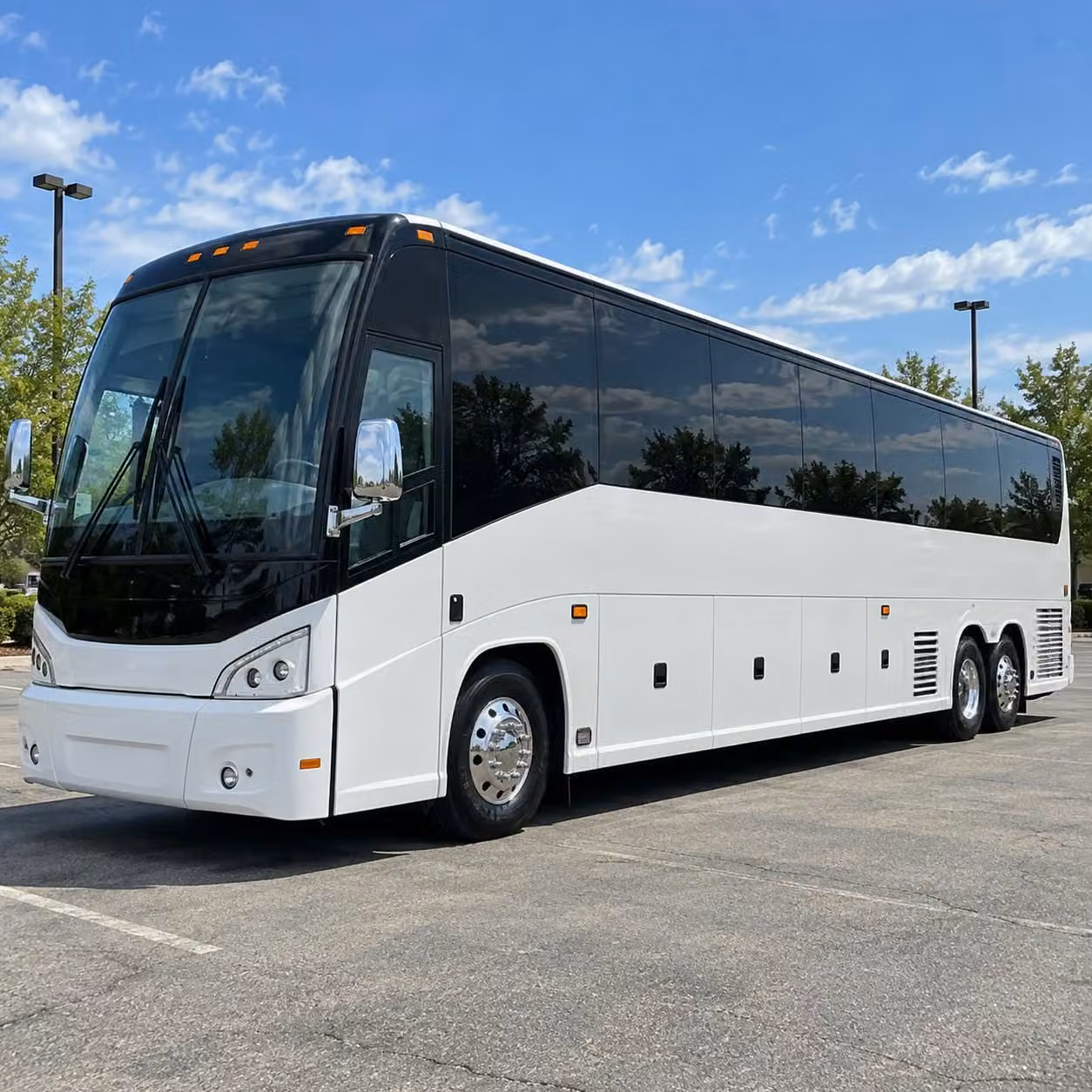 youth sports team transportation in stonecrest and dekalb county